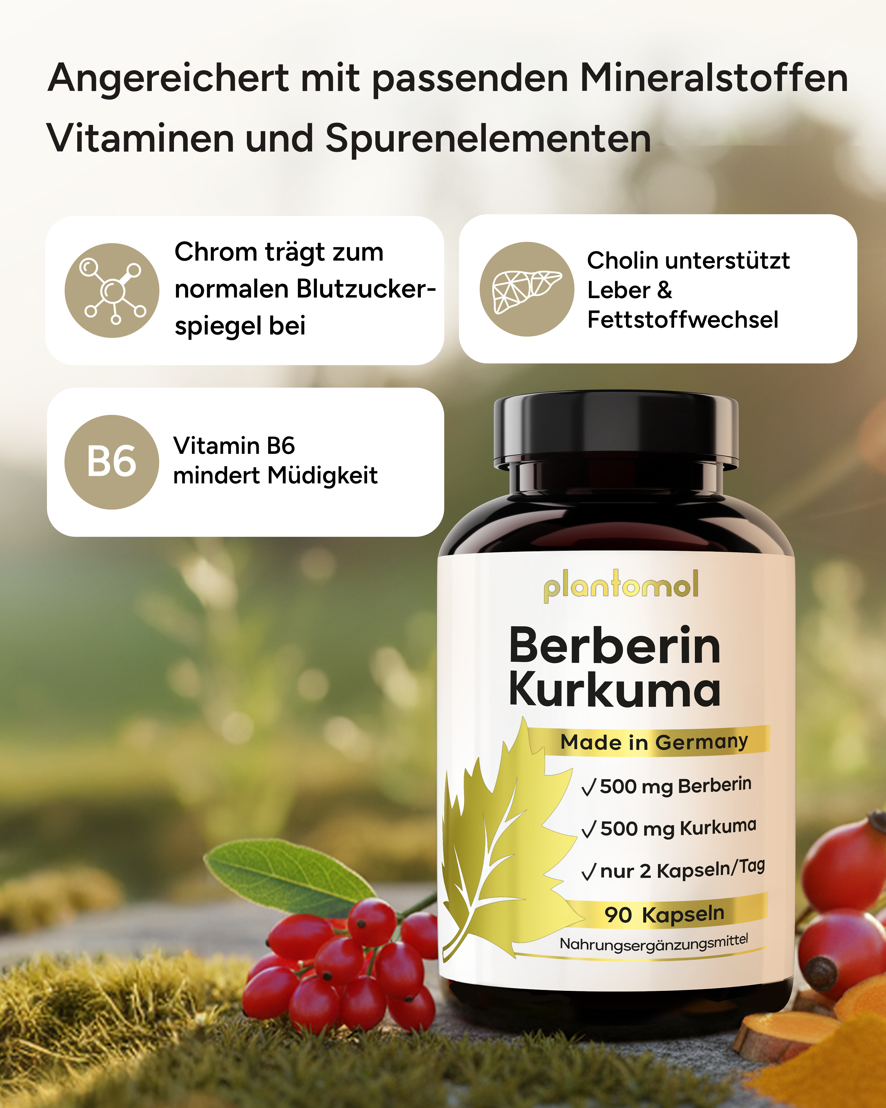 Berberin Kurkuma - 500mg Berberin und 500mg Kurkuma pro Tag