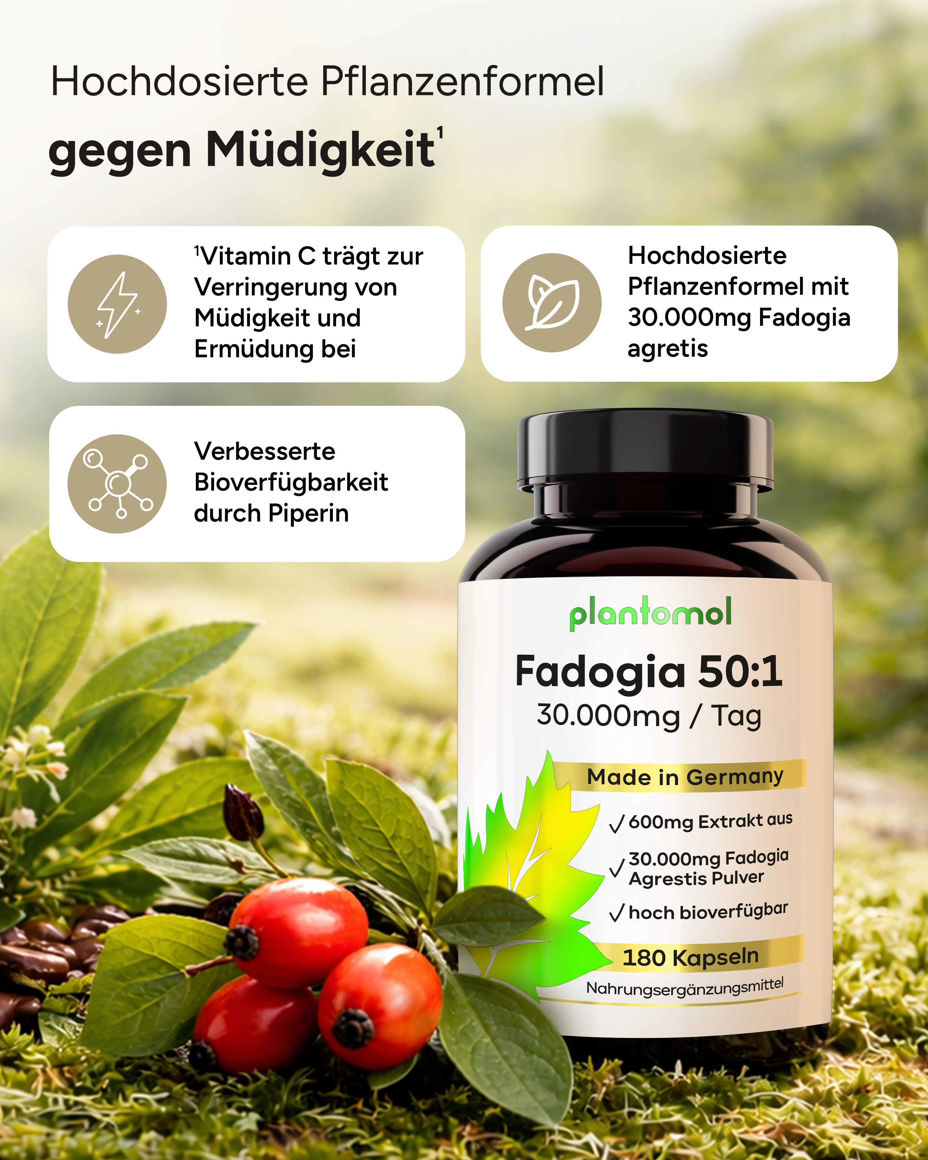 Fadogia Agrestis - 50:1 Extrakt mit Koffein