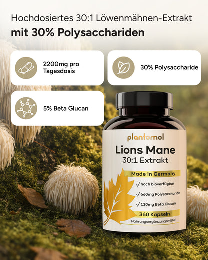 Lions Mane - Löwenmähnenpilz 30:1 Extrakt
