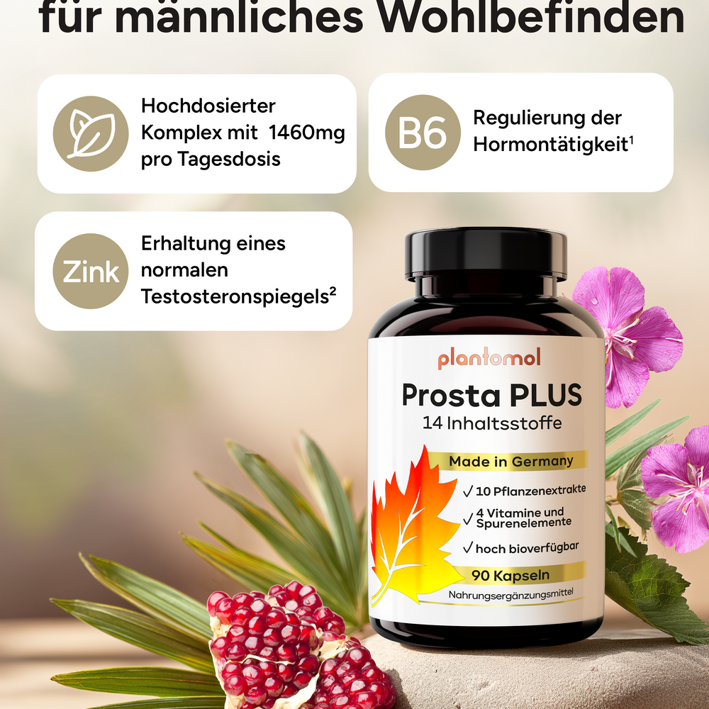 
                      
                        Prosta PLUS - mit Weidenröschen-, Roggenpollen-und Sägepalmen-Extrakt
                      
                    