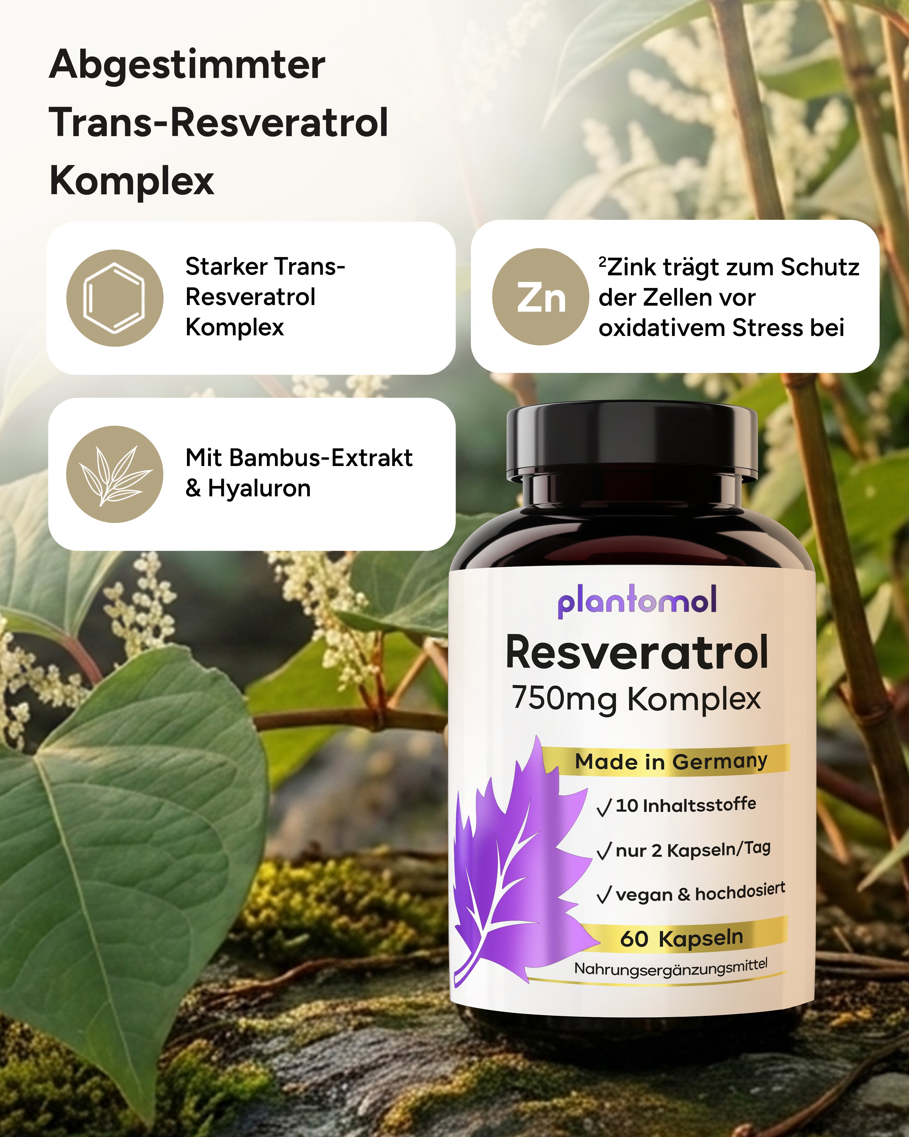 Resveratrol Komplex  - 750mg Trans-Resveratrol pro Tag