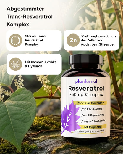 Resveratrol Komplex  - 750mg Trans-Resveratrol pro Tag