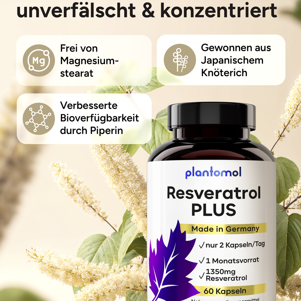 
                      
                        Resveratrol PLUS - 1350mg Trans-Resveratrol pro Tag
                      
                    