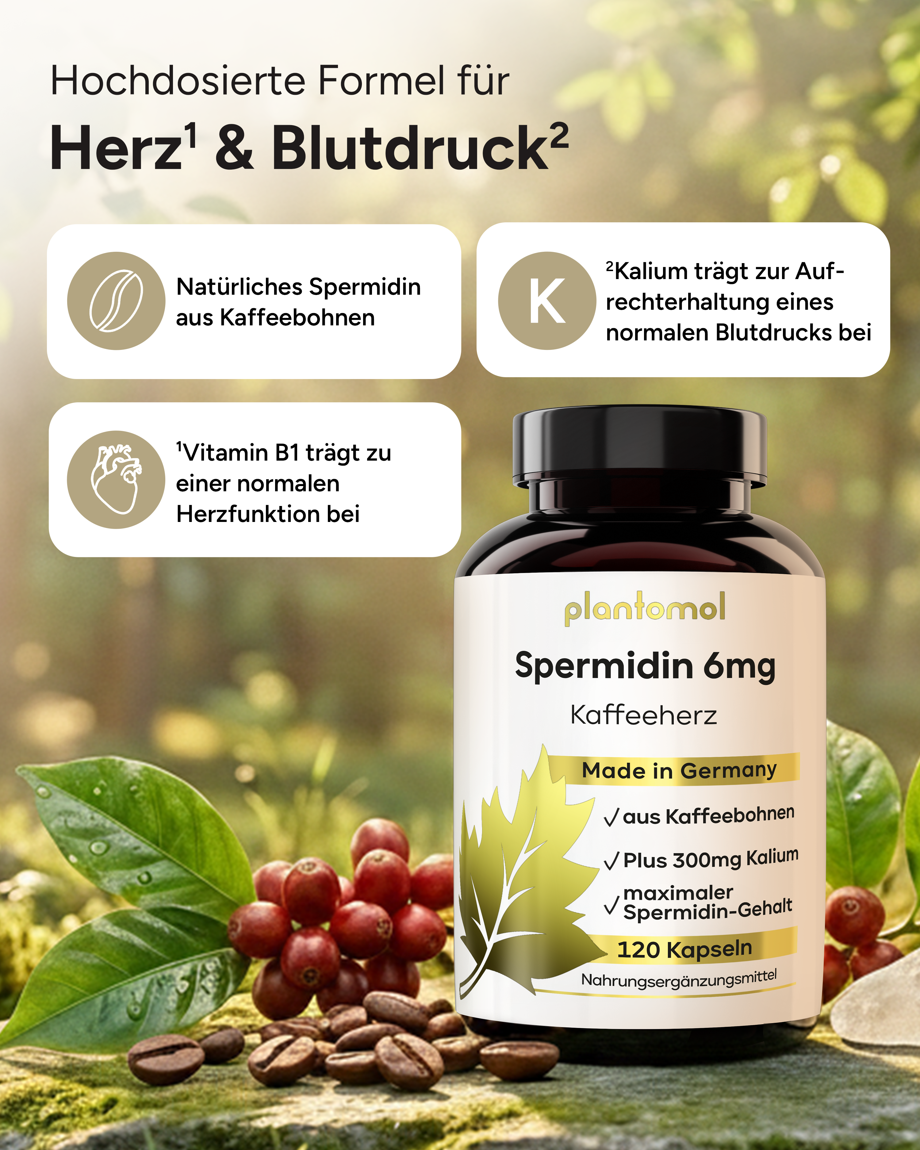 Spermidin Kaffeeherz - 6mg Spermidin mit 300mg Kalium pro Tag
