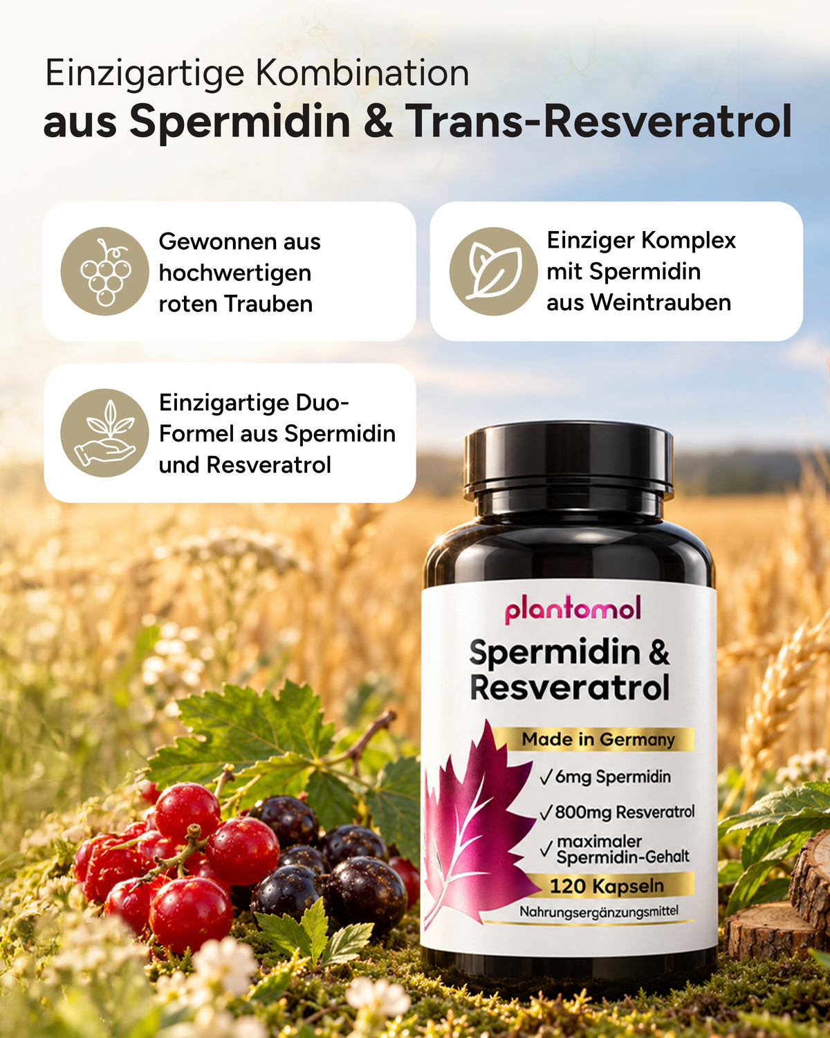 Spermidin-Resveratrol - 6mg Spermidin mit 800mg Trans-Resveratrol pro Tag