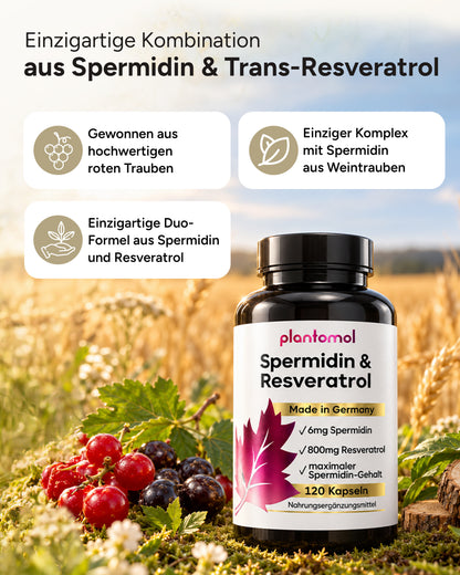 Spermidin-Resveratrol - 6mg Spermidin mit 800mg Trans-Resveratrol pro Tag
