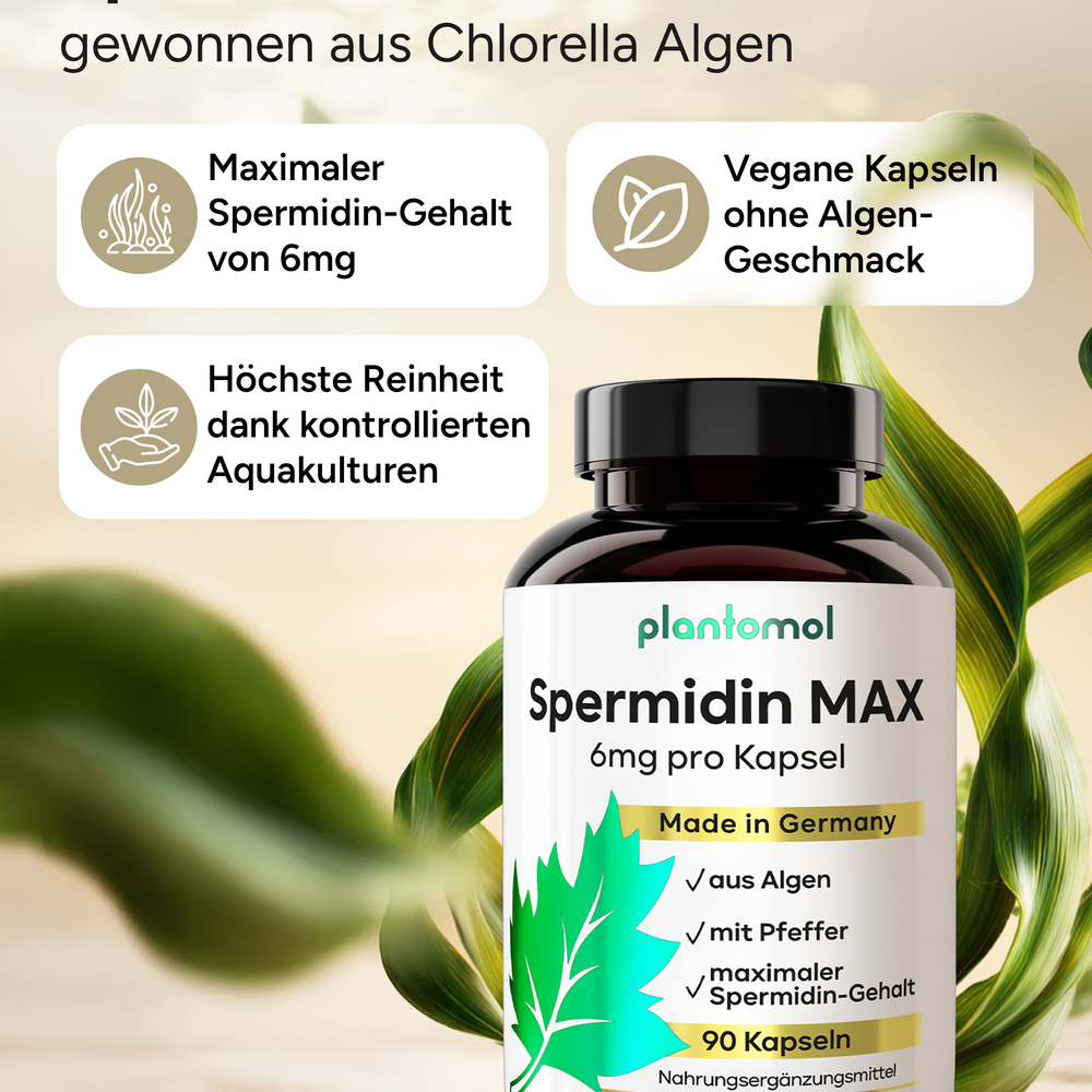 
                      
                        Spermidin MAX - 6mg pro Kapsel, mit Pfeffer
                      
                    