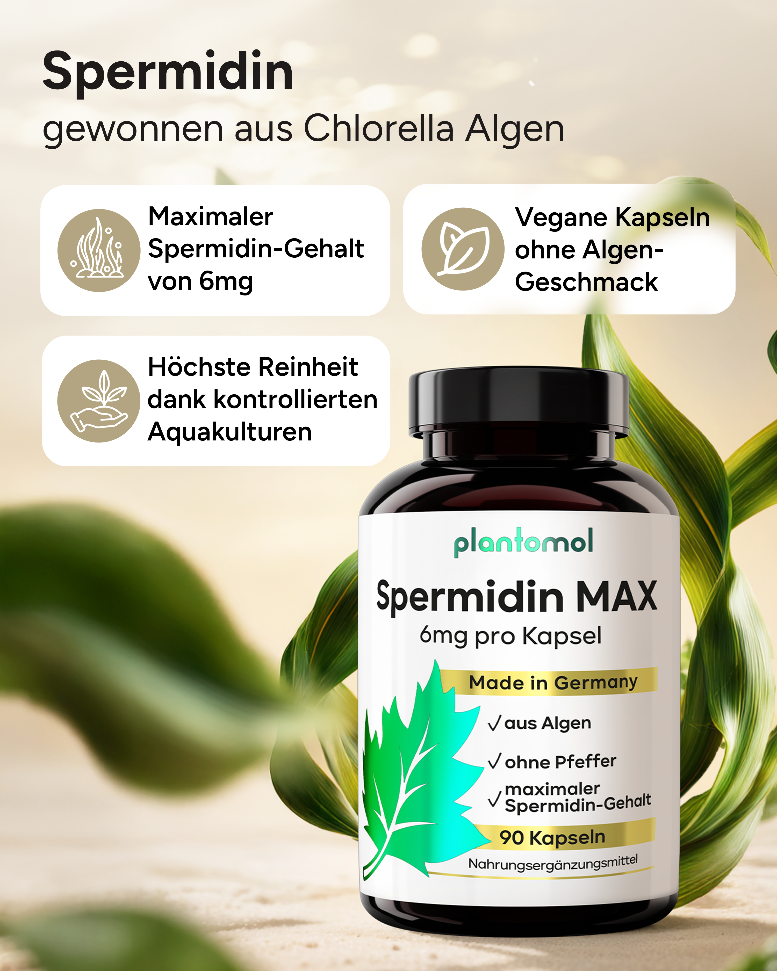 Spermidin MAX - 6mg pro Kapsel, ohne Pfeffer