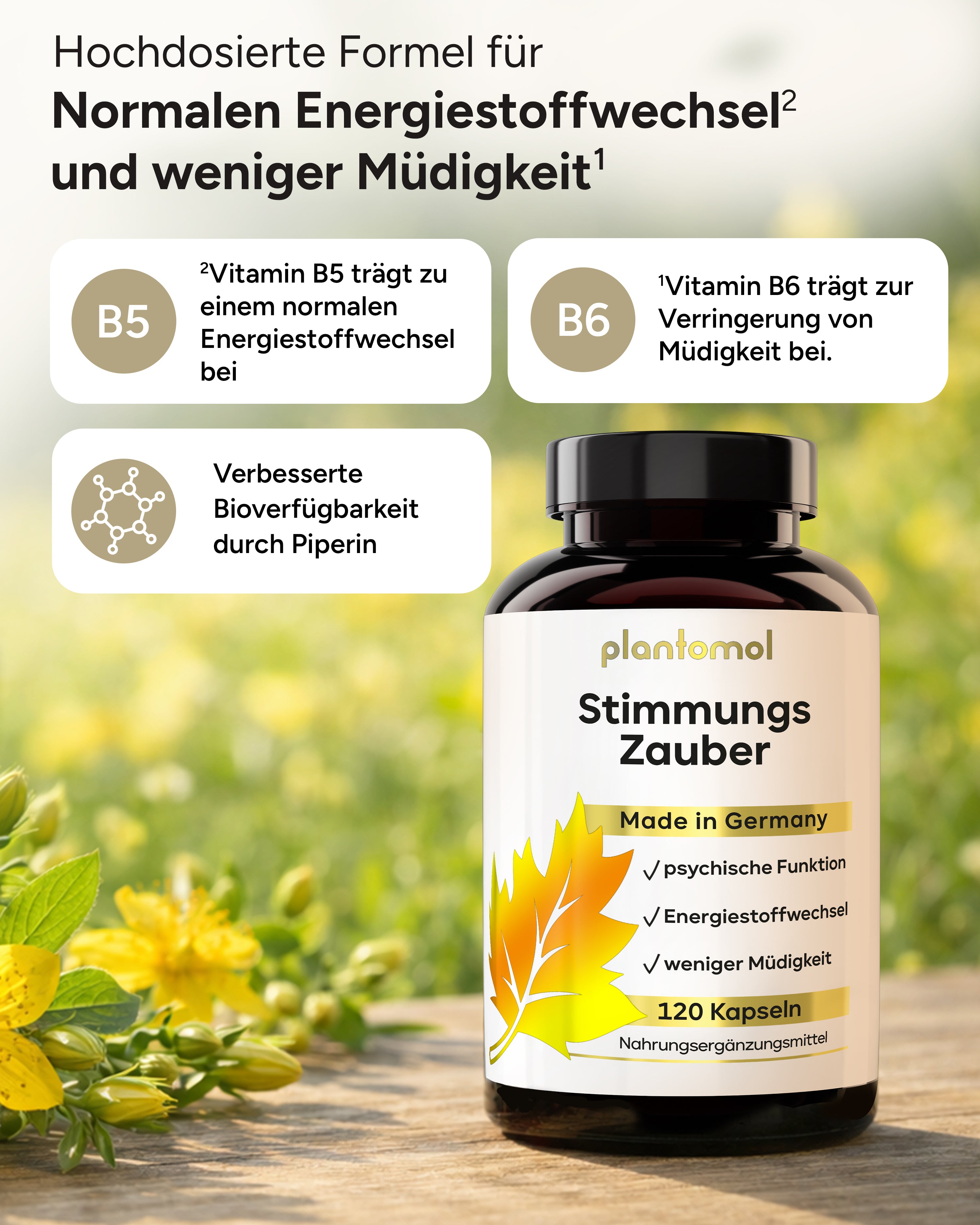 Stimmungszauber - mit Johanniskraut, GABA & L-Tryptophan