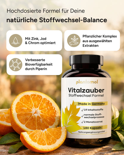 Vitalzauber - Stoffwechsel Komplex