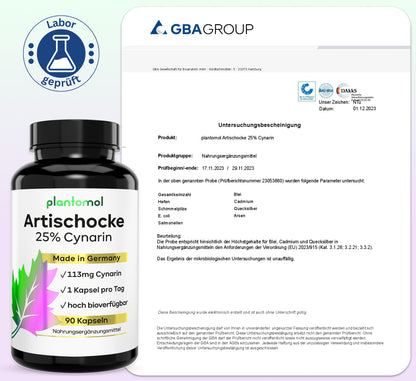 Artischocken-Extrakt - 113mg Cynarin pro Kapsel