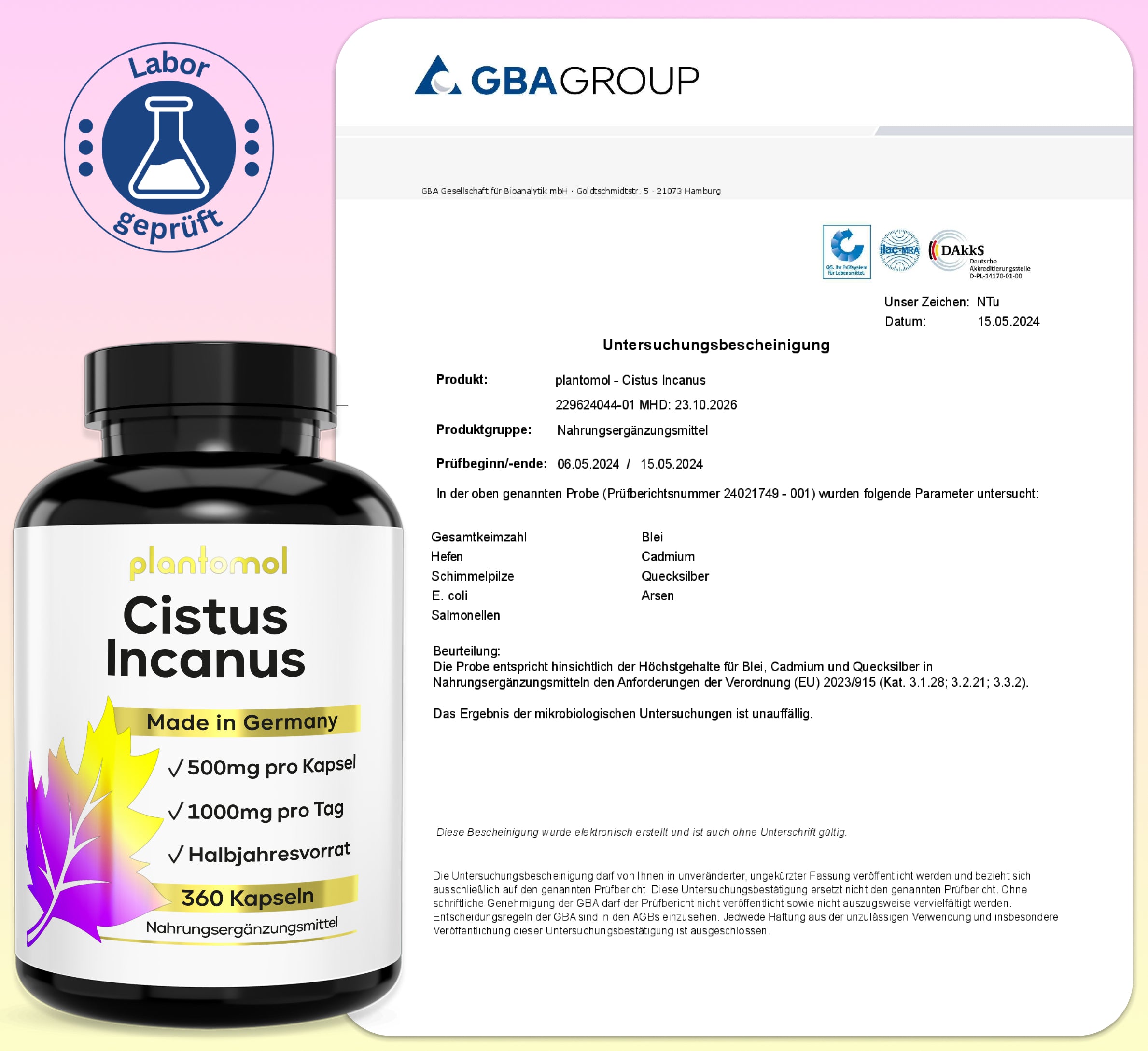 Cistus Incanus - 1.000mg pro Tag