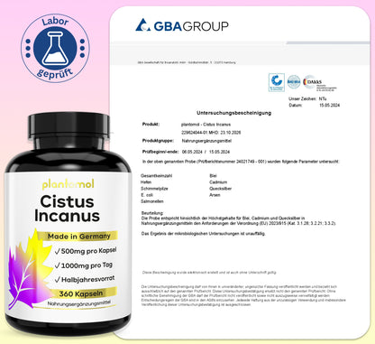 Cistus Incanus - 1.000mg pro Tag