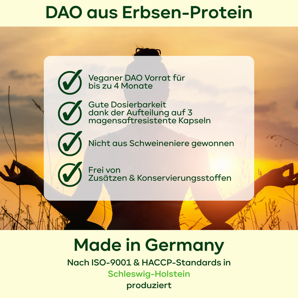 
                      
                        DAO 1 Mio. HDU - aufgeteilt in 3 Kapseln
                      
                    