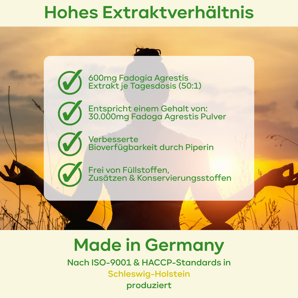 
                      
                        Fadogia Agrestis - 50:1 Extrakt mit Koffein
                      
                    
