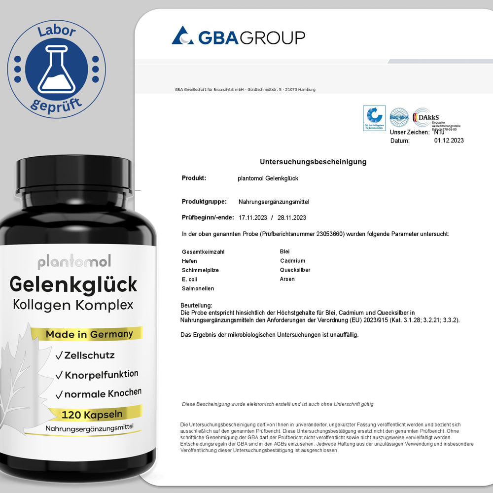 
                      
                        Gelenkglück - Kollagen & Hyaluron Komplex
                      
                    