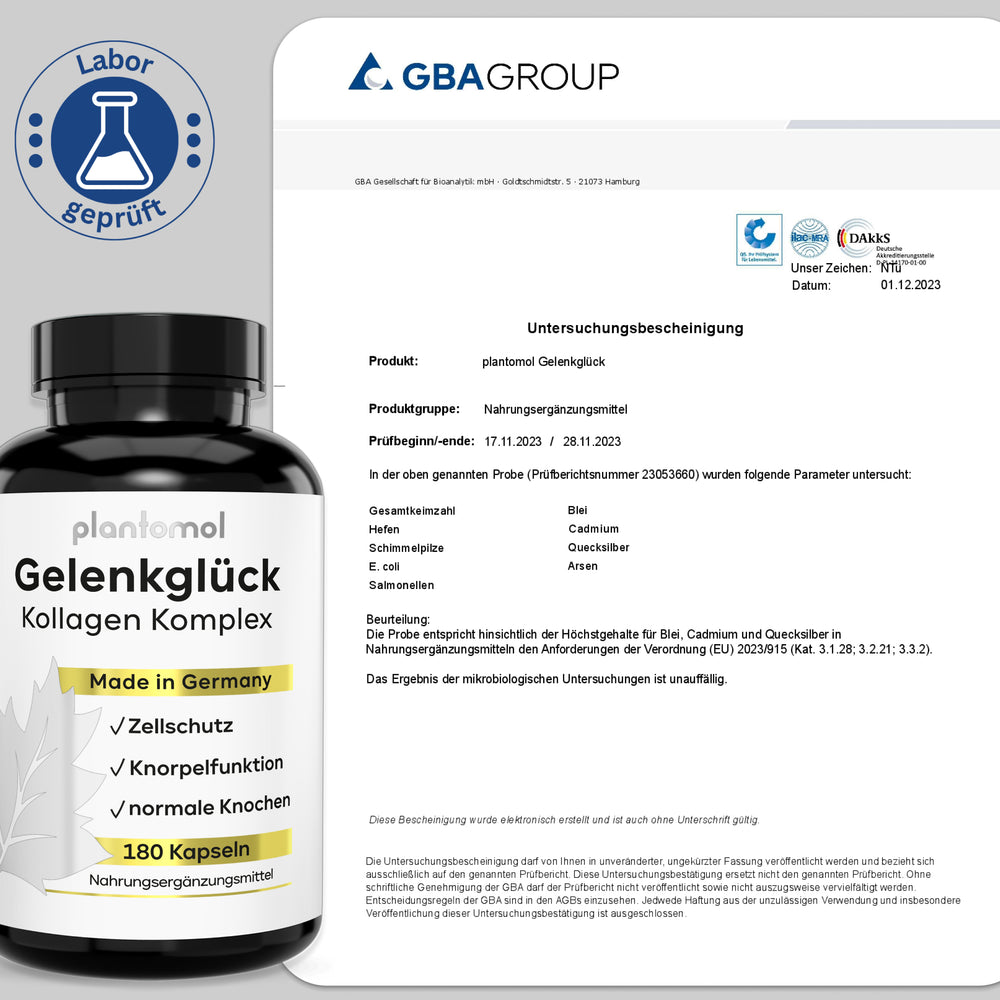 
                      
                        Gelenkglück - Kollagen & Hyaluron Komplex
                      
                    