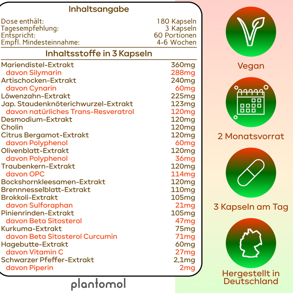 
                      
                        Bitterrein PLUS - Mariendistel, Artischocke und Löwenzahn
                      
                    