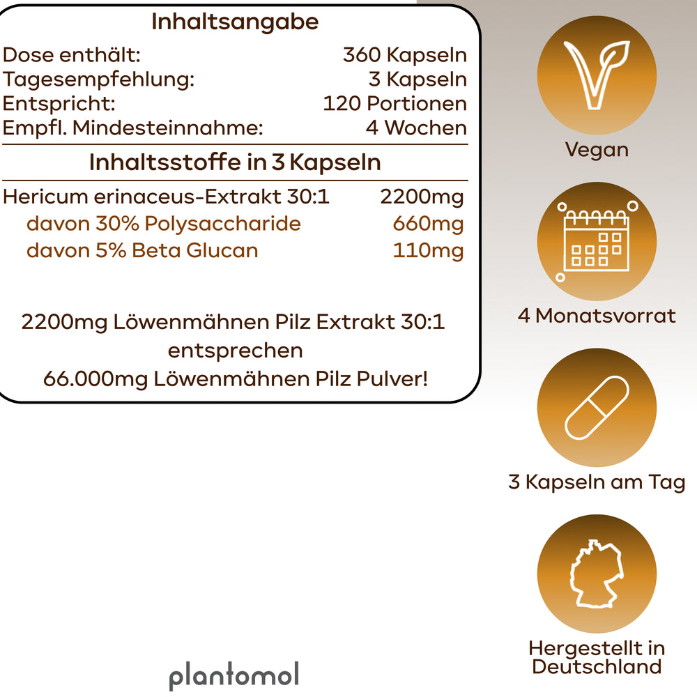 
                      
                        Lions Mane - Löwenmähnenpilz 30:1 Extrakt
                      
                    