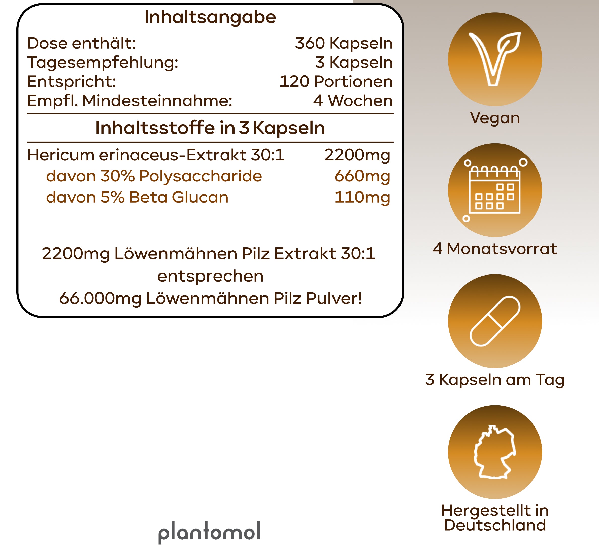 Lions Mane - Löwenmähnenpilz 30:1 Extrakt