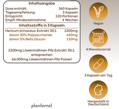 Lions Mane - Löwenmähnenpilz 30:1 Extrakt