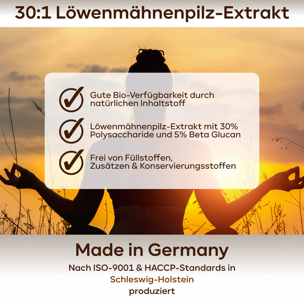 
                      
                        Lions Mane - Löwenmähnenpilz 30:1 Extrakt
                      
                    