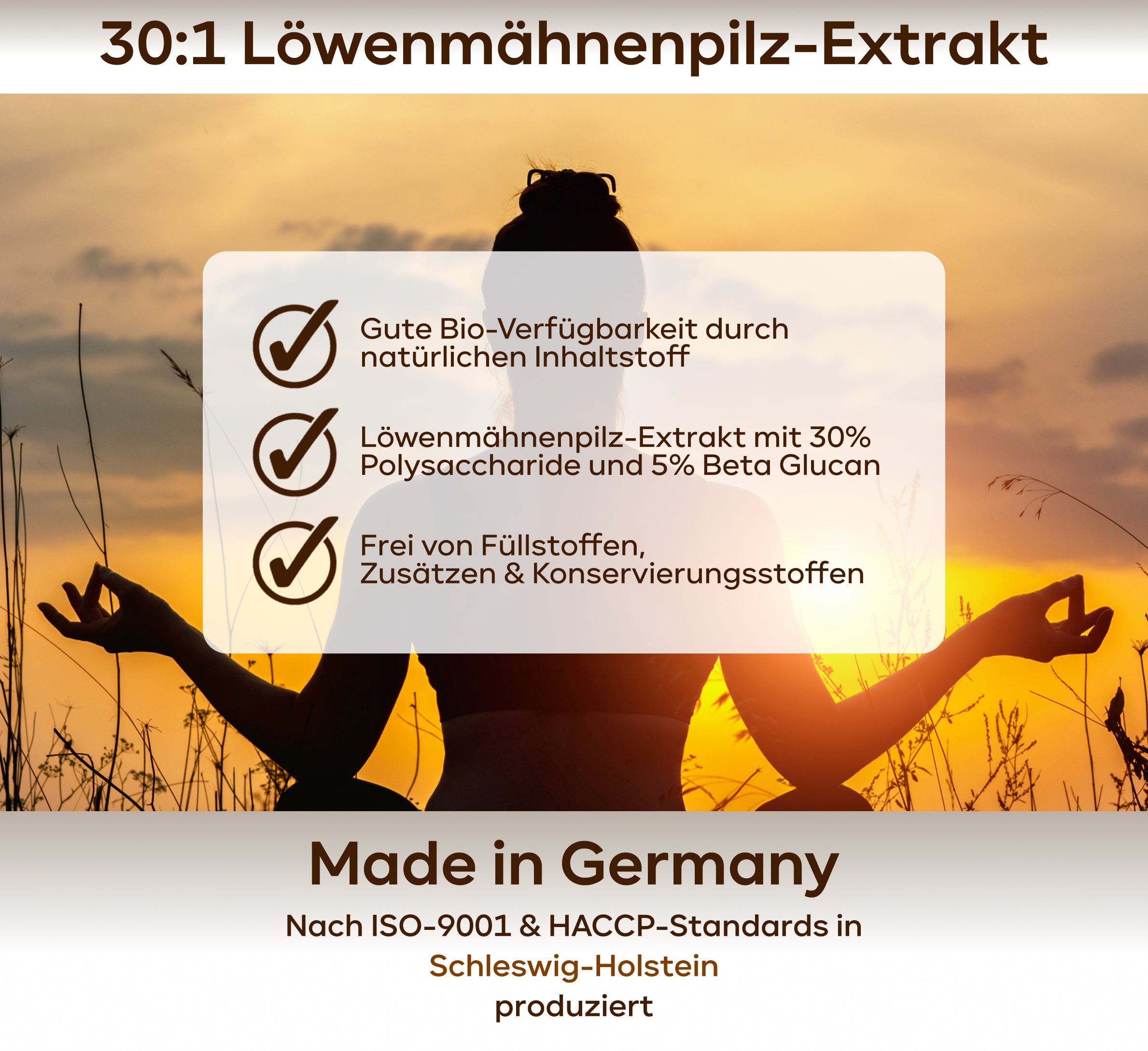 Lions Mane - Löwenmähnenpilz 30:1 Extrakt