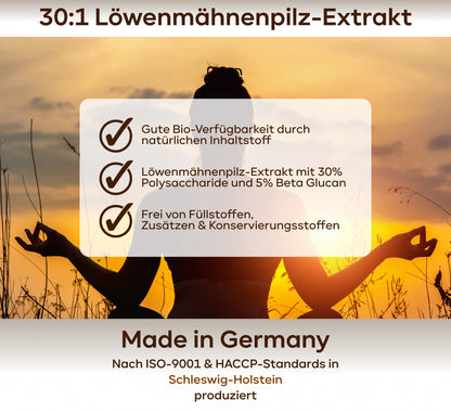 Lions Mane - Löwenmähnenpilz 30:1 Extrakt