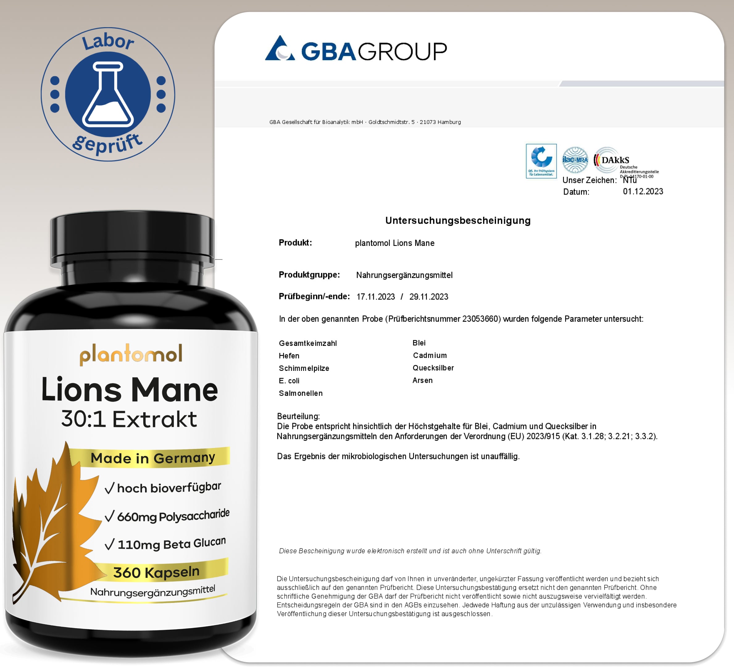 Lions Mane - Löwenmähnenpilz 30:1 Extrakt