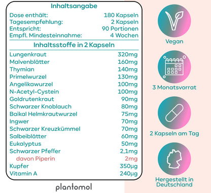 Lungenkräuter Komplex - 16 Inhaltstoffe, optimiert mit NAC