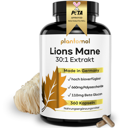 Lions Mane Kapseln
