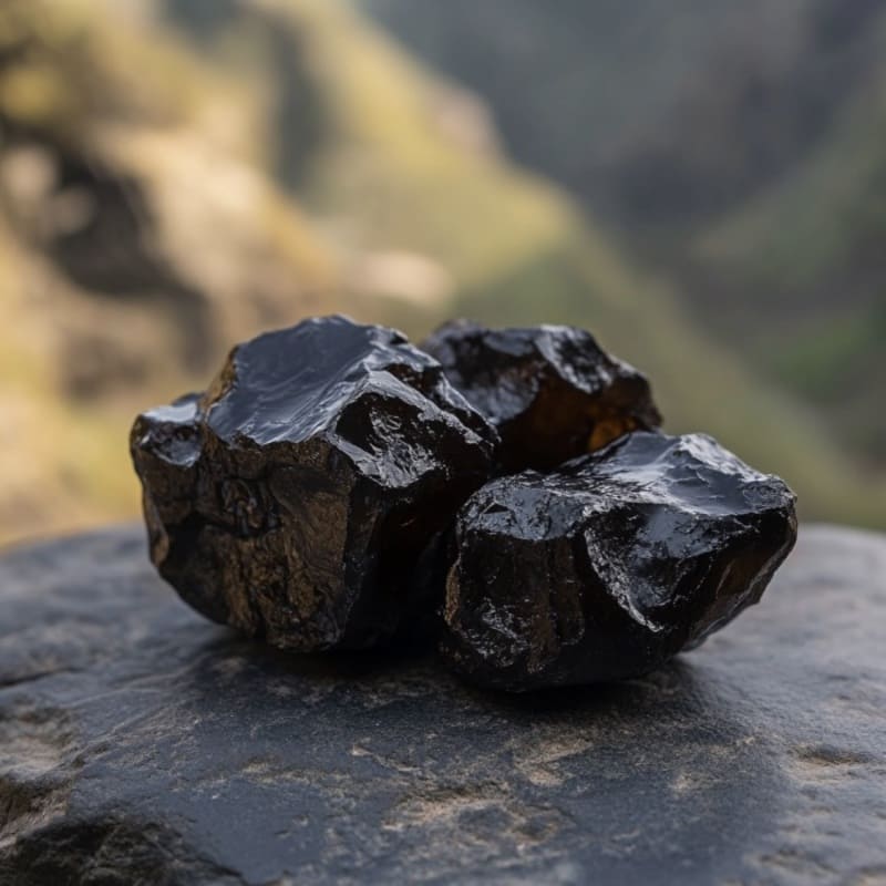 Mumijo Shilajit
