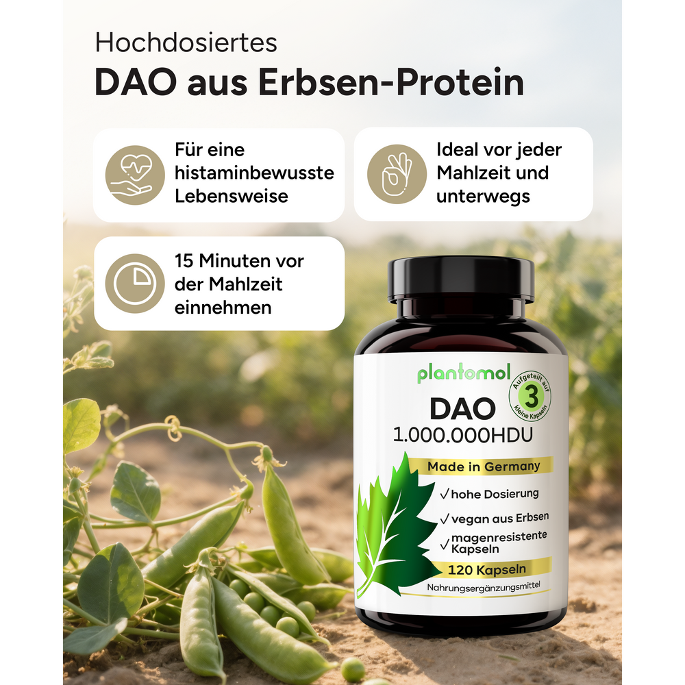 
                      
                        DAO 1 Mio. HDU - aufgeteilt in 3 Kapseln
                      
                    