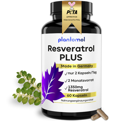 Resveratrol Plus Kapseln