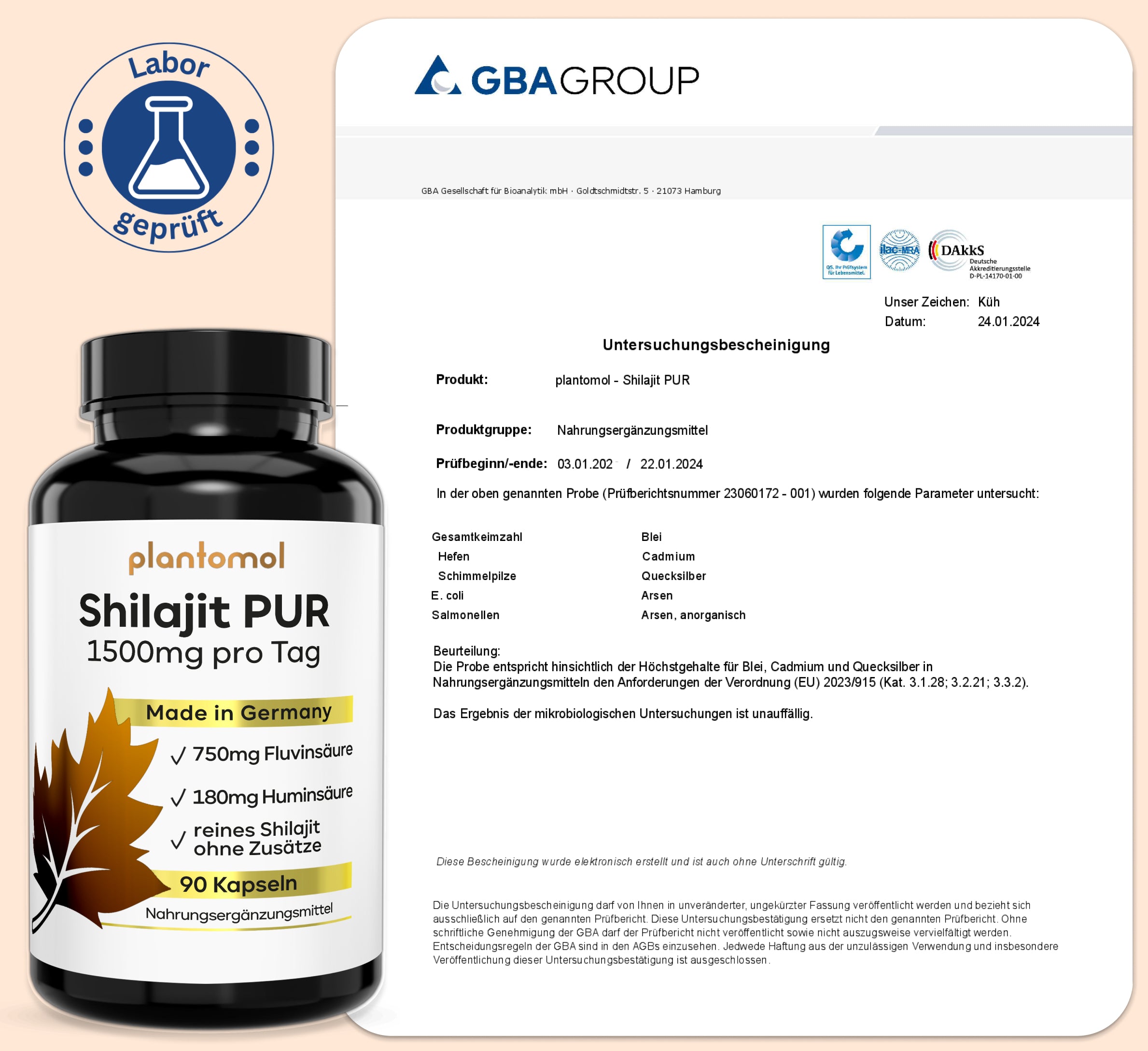 Shilajit Kapseln - 750mg Fluvinsäure & 180mg Huminsäure pro Tag