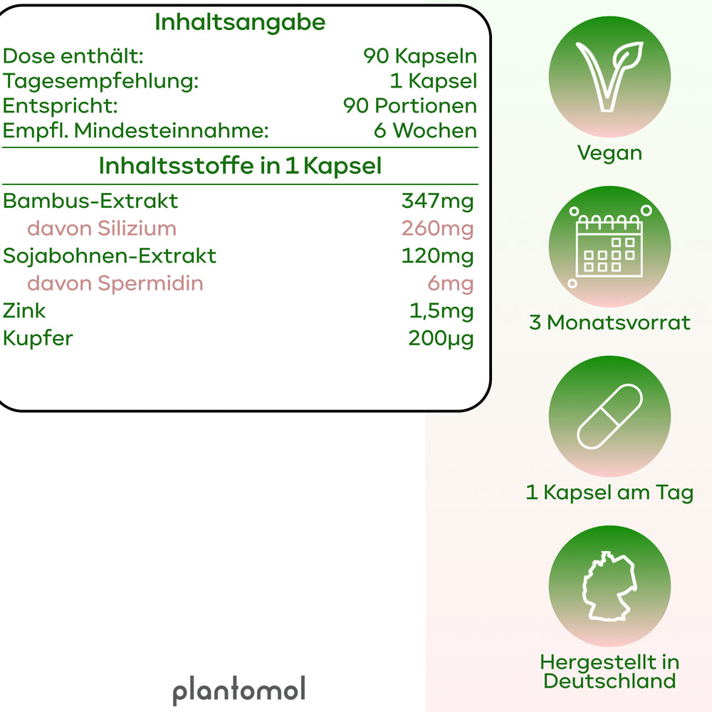 
                      
                        Spermidin - 6mg Spermidin mit Silizium Extrakt
                      
                    