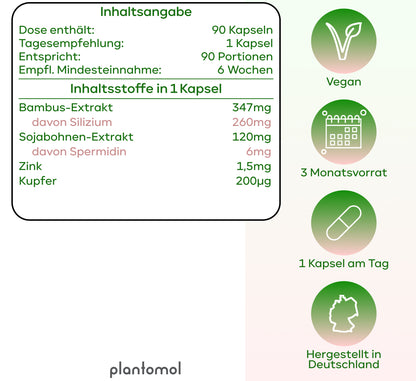 Spermidin - 6mg Spermidin mit Silizium Extrakt