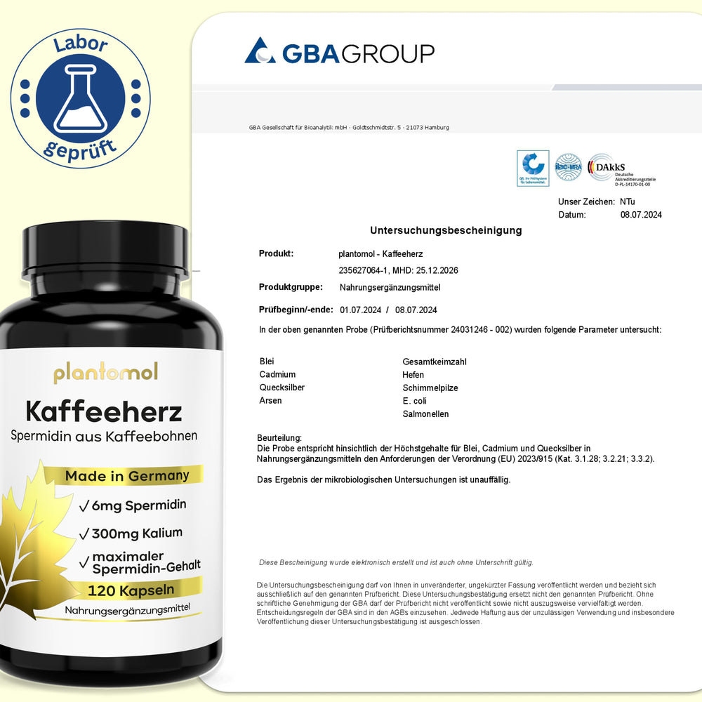 
                      
                        Spermidin Kaffeeherz - 6mg Spermidin mit 300mg Kalium pro Tag
                      
                    