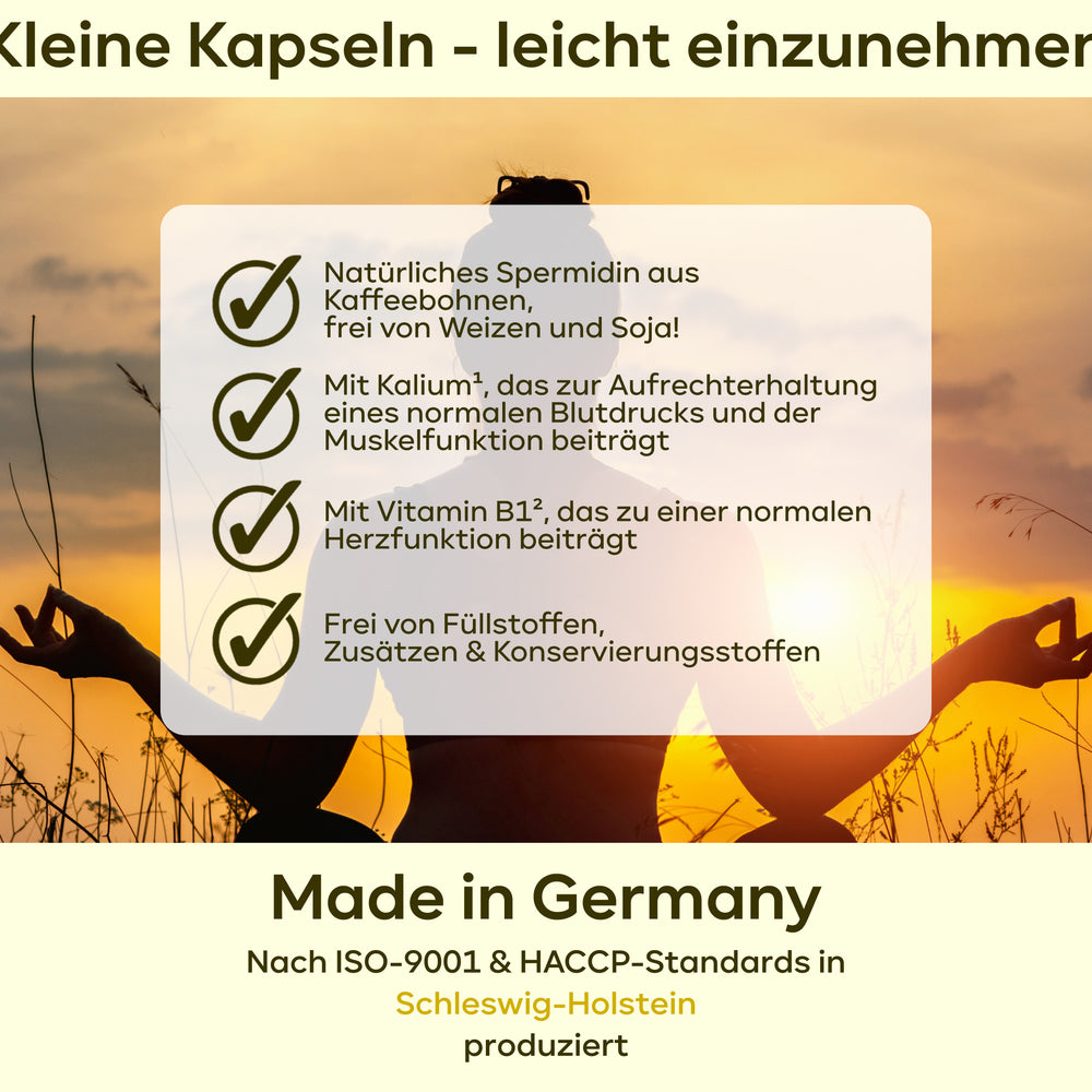
                      
                        Spermidin Kaffeeherz - 6mg Spermidin mit 300mg Kalium pro Tag
                      
                    