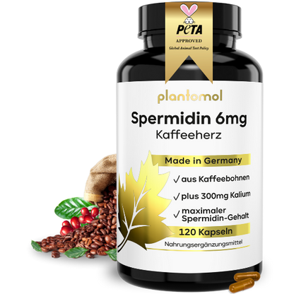 Kaffeeherz Spermidin Kapseln aus Kaffeebohnen-Extrakt