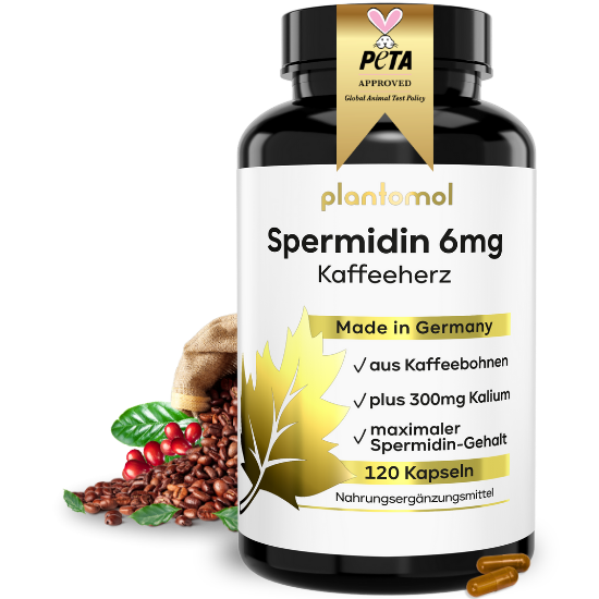 Kaffeeherz Spermidin Kapseln aus Kaffeebohnen-Extrakt