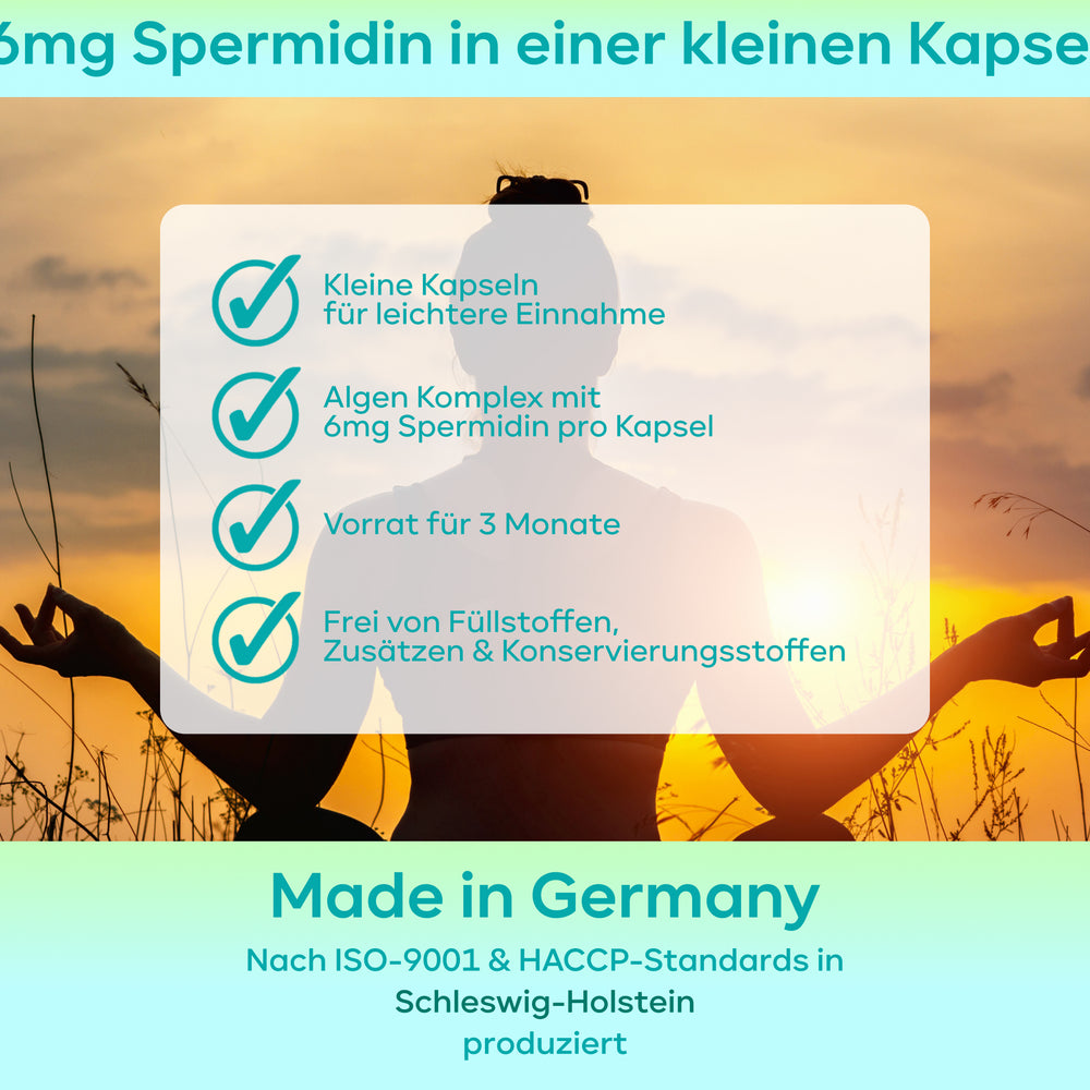 
                      
                        Spermidin MAX - 6mg pro Kapsel, ohne Pfeffer
                      
                    