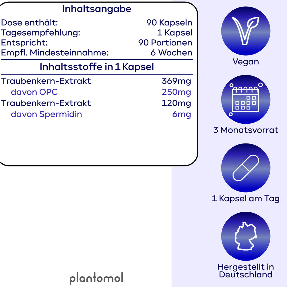 
                      
                        Spermidin-OPC - 6mg Spermidin mit 250mg OPC pro Kapsel
                      
                    