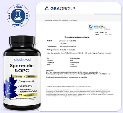 Spermidin-OPC - 6mg Spermidin mit 250mg OPC pro Kapsel