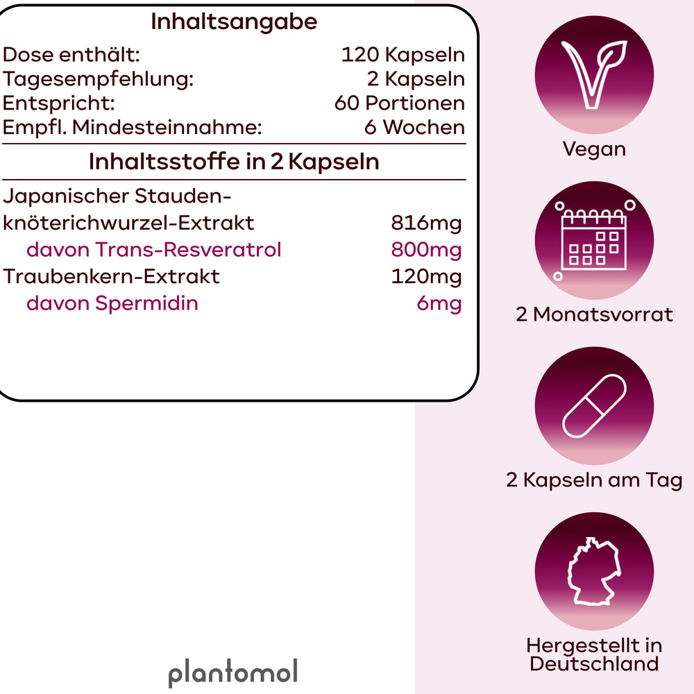 
                      
                        Spermidin-Resveratrol - 6mg Spermidin mit 800mg Trans-Resveratrol pro Tag
                      
                    