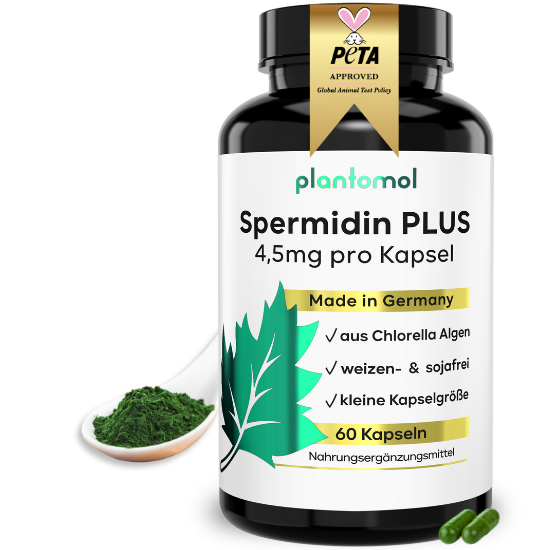 Spermidin Plus Kapseln