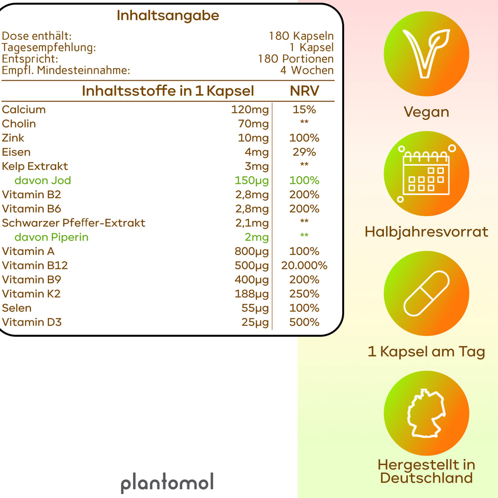 
                      
                        Vegan All In One - Vitamin Komplex mit B12, D3, K2
                      
                    