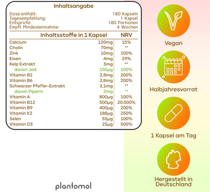 Vegan All In One - Vitamin Komplex mit B12, D3, K2