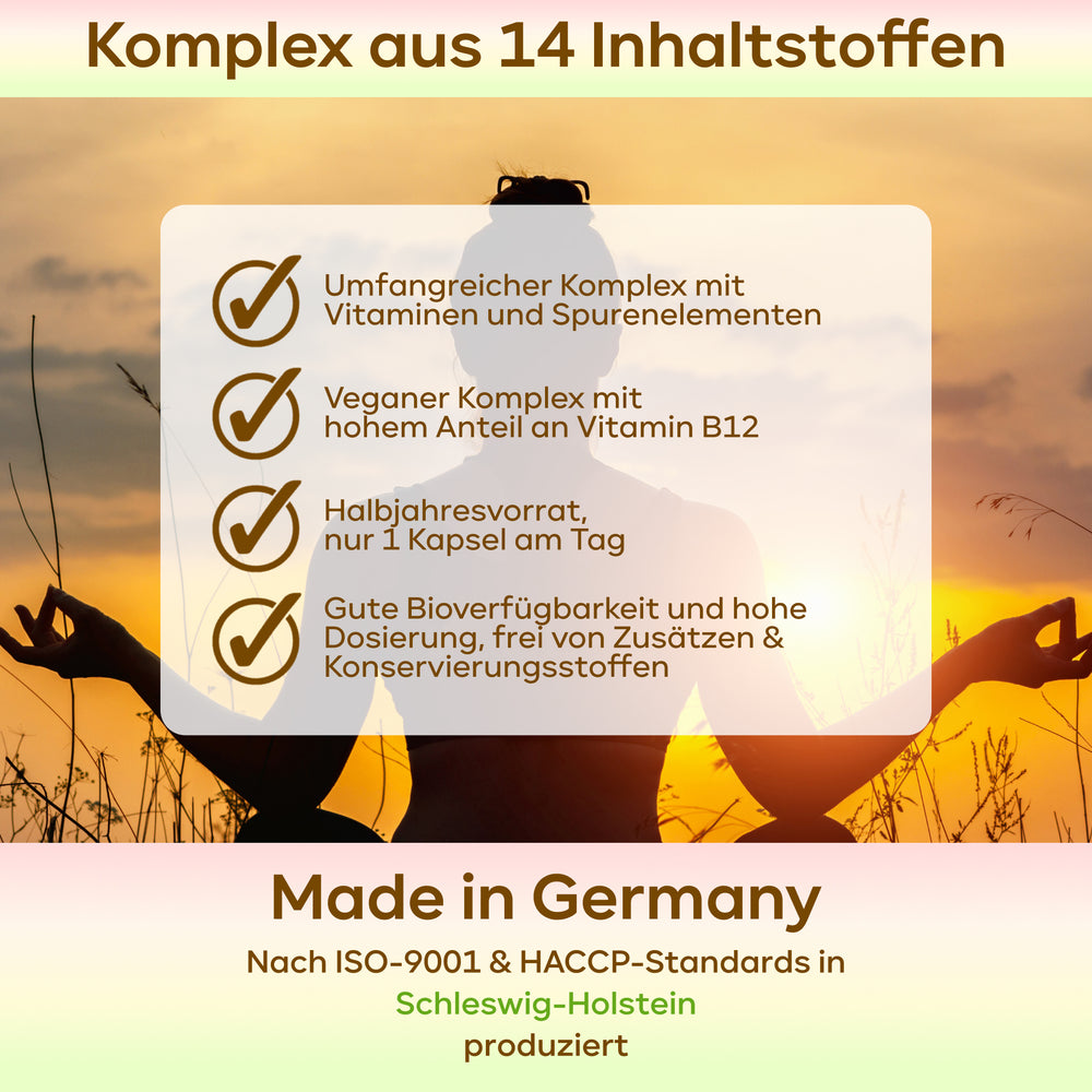 
                      
                        Vegan All In One - Vitamin Komplex mit B12, D3, K2
                      
                    