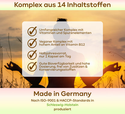Vegan All In One - Vitamin Komplex mit B12, D3, K2